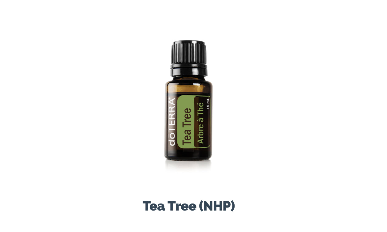 Tea Tree Essential Oil by DoTerra