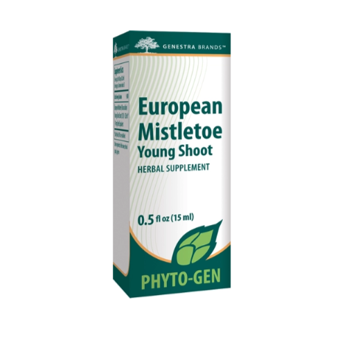 European Mistletoe Young Shoot